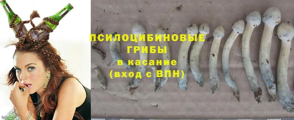 гидропоника Алексин