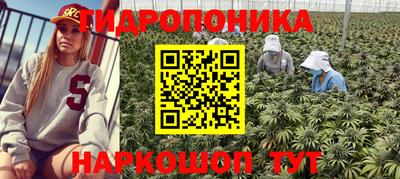 эйфоретик Владивосток