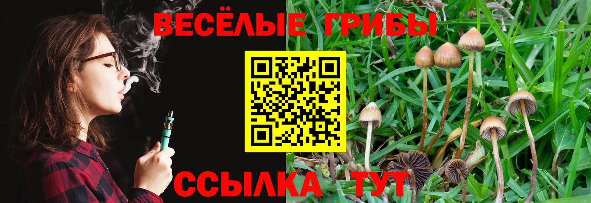 Псилоцибиновые грибы Cubensis Невинномысск